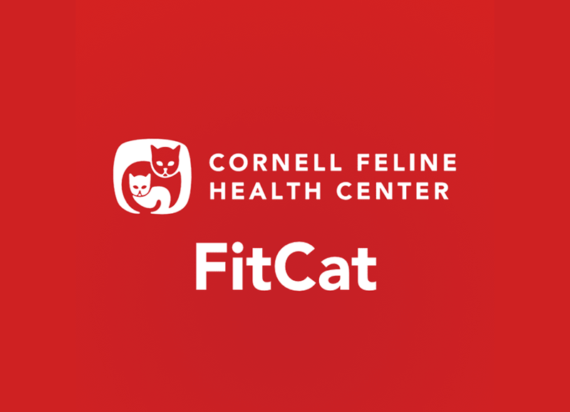 fitcat